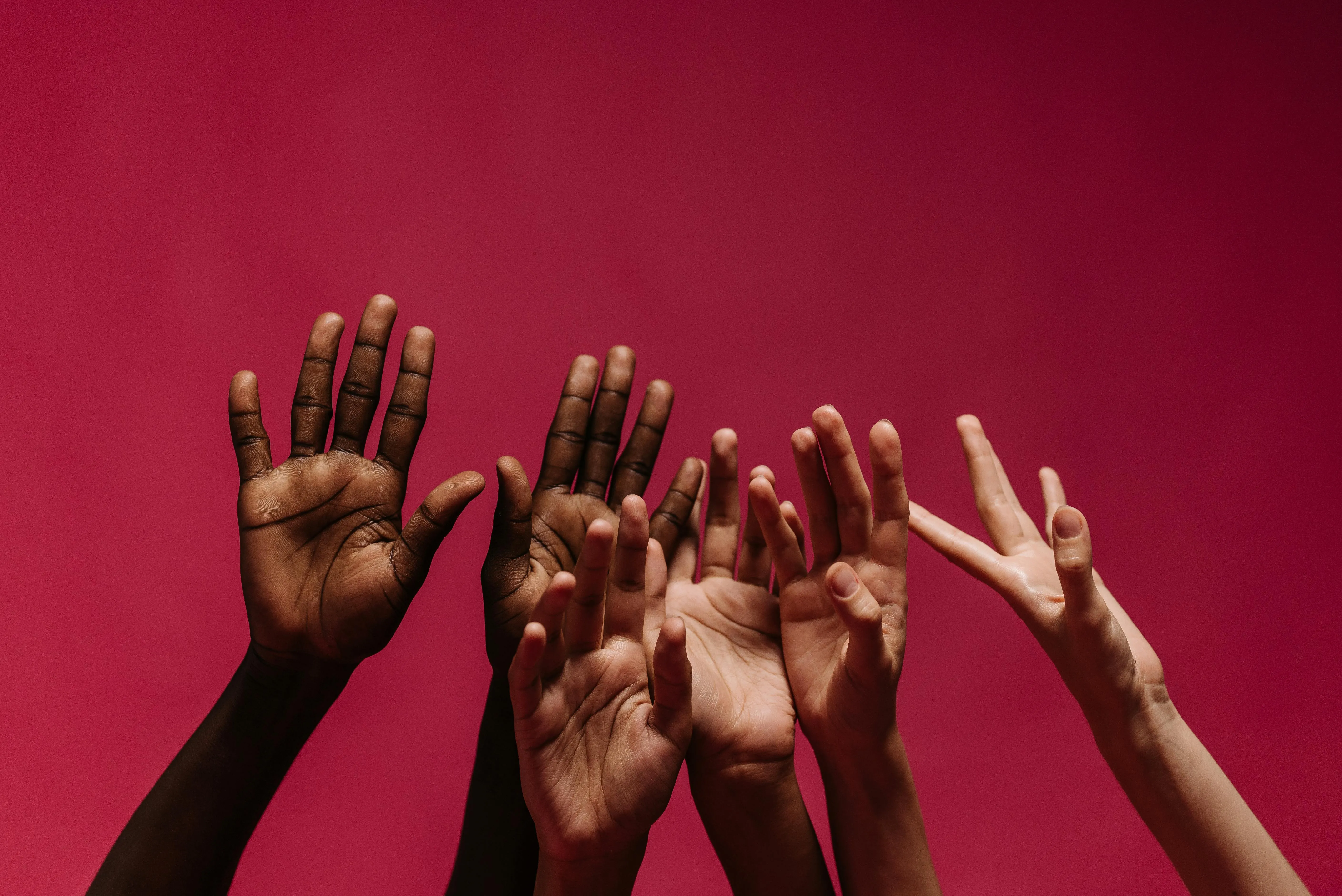 We Help to Grow <br /> Your Business